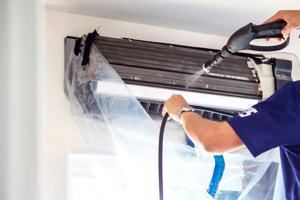 Best Air Duct Sanitizing Services  in Leland Grove, IL