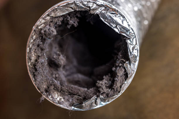 Best HVAC System Cleaning  in Leland Grove, IL