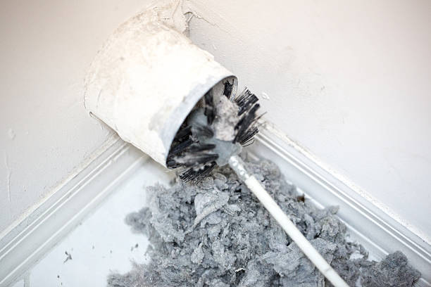 Best HVAC Maintenance and Cleaning  in Leland Grove, IL